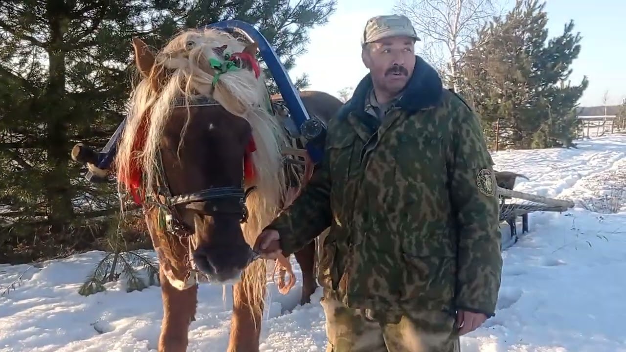 ЛОШАДИ🐎НА ЖЕРЕБЦЕ БАСТИОНЕ ПО ВЕСЕННЕМУ СНЕГУ💪🐴👍