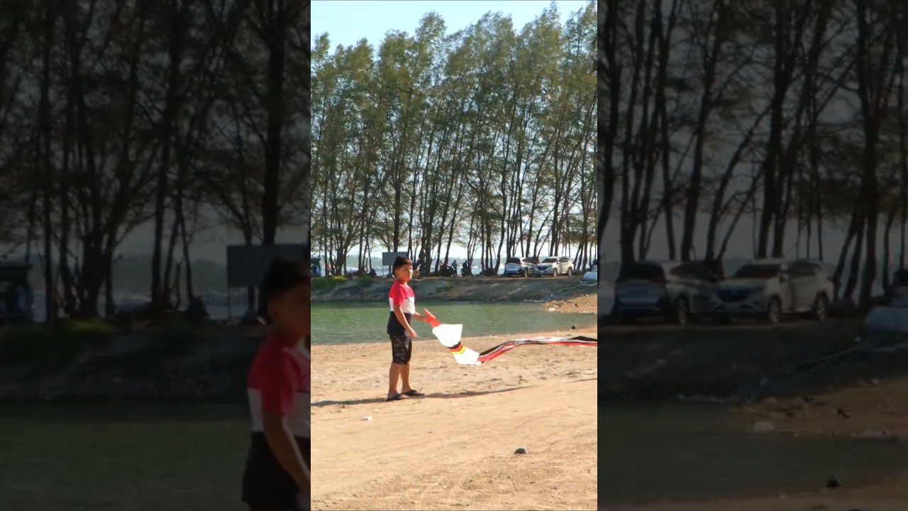 Layangan Janggan Mini ku Nyangkut di Pohon #layangan #layanglayang #layanganjanggan #mainlayangan