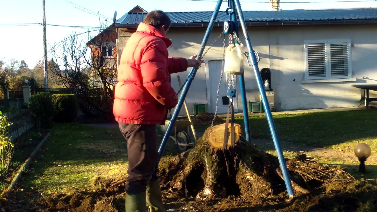 arrachage souche bouleau au palan