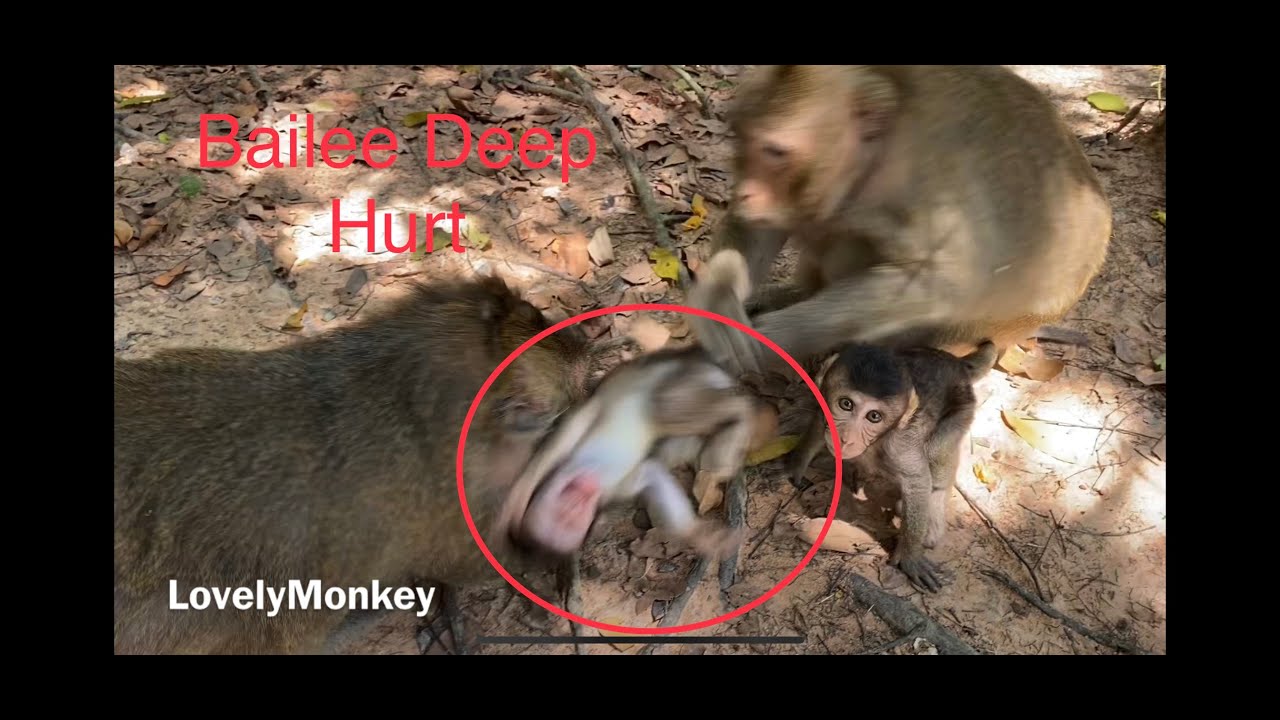 Million Pity! Tara Kidnapped Baby Bailee and Torture Hard Drag throw On The ground Cry Loudly!