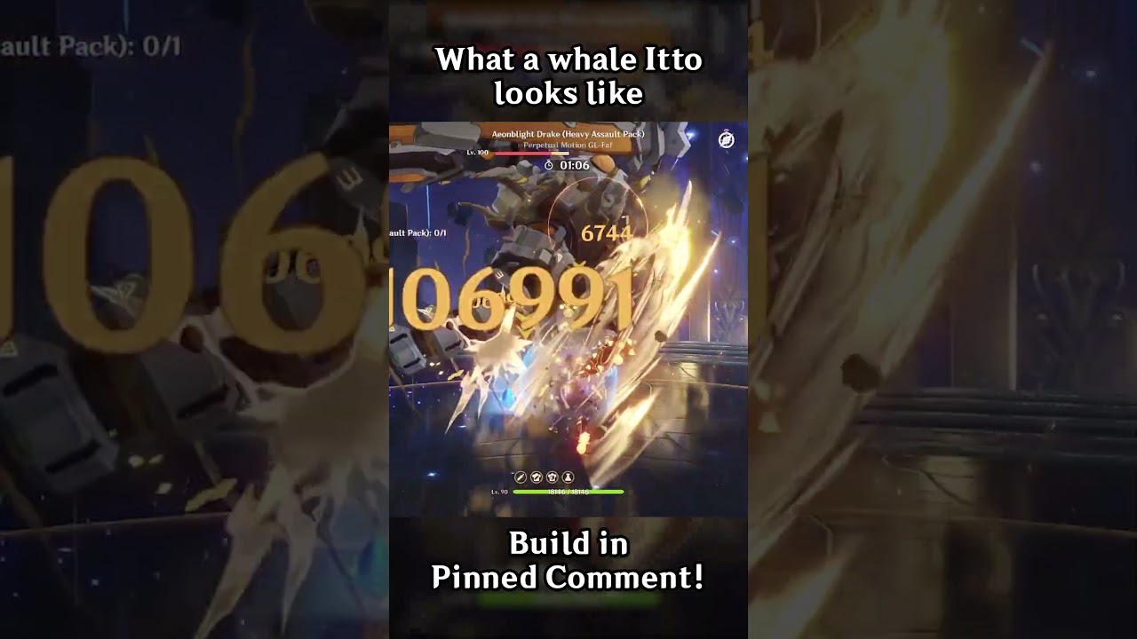 What a Whale Itto Looks Like