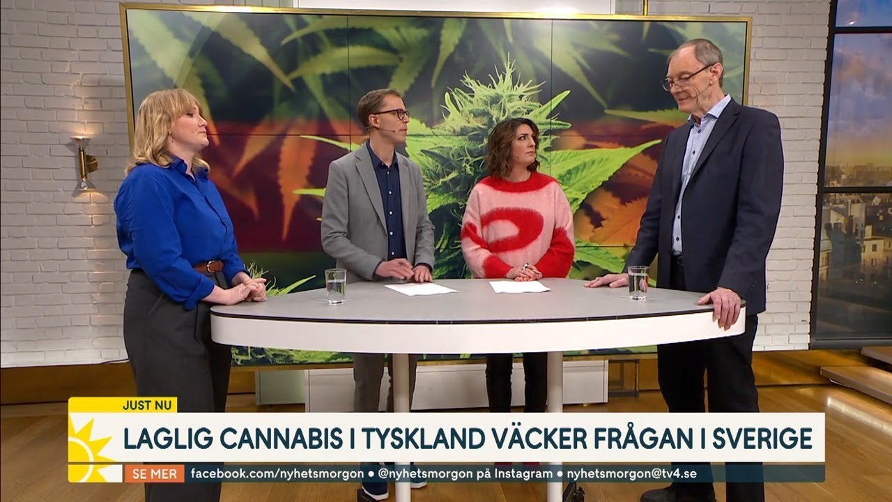 ”Vill se en minskad knarkskam” – Bör vi legalisera cannabis i Sveri… | Nyhetsmorgon | TV4 & TV4 Play