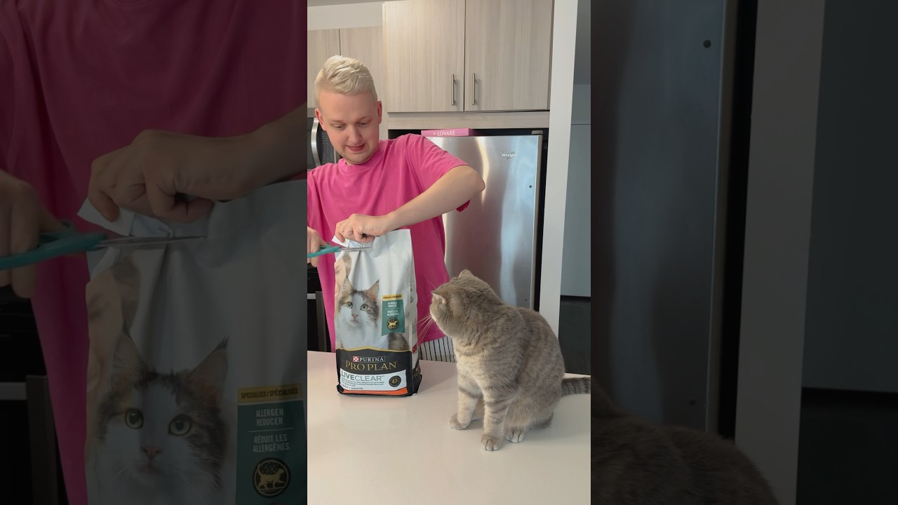 Let&rsquo;s try cat food 😱 Minnie don&rsquo;t like that 😬