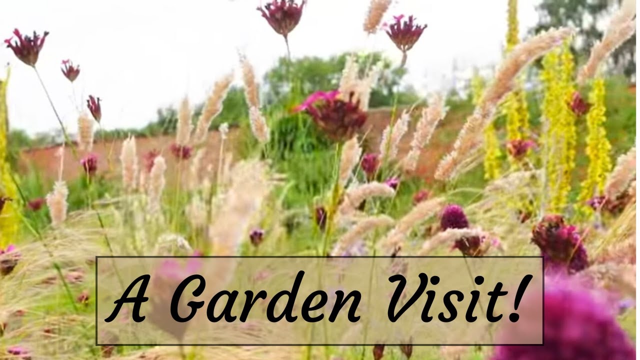 Exploring RHS Garden Bridgewater: A Summer Oasis #9