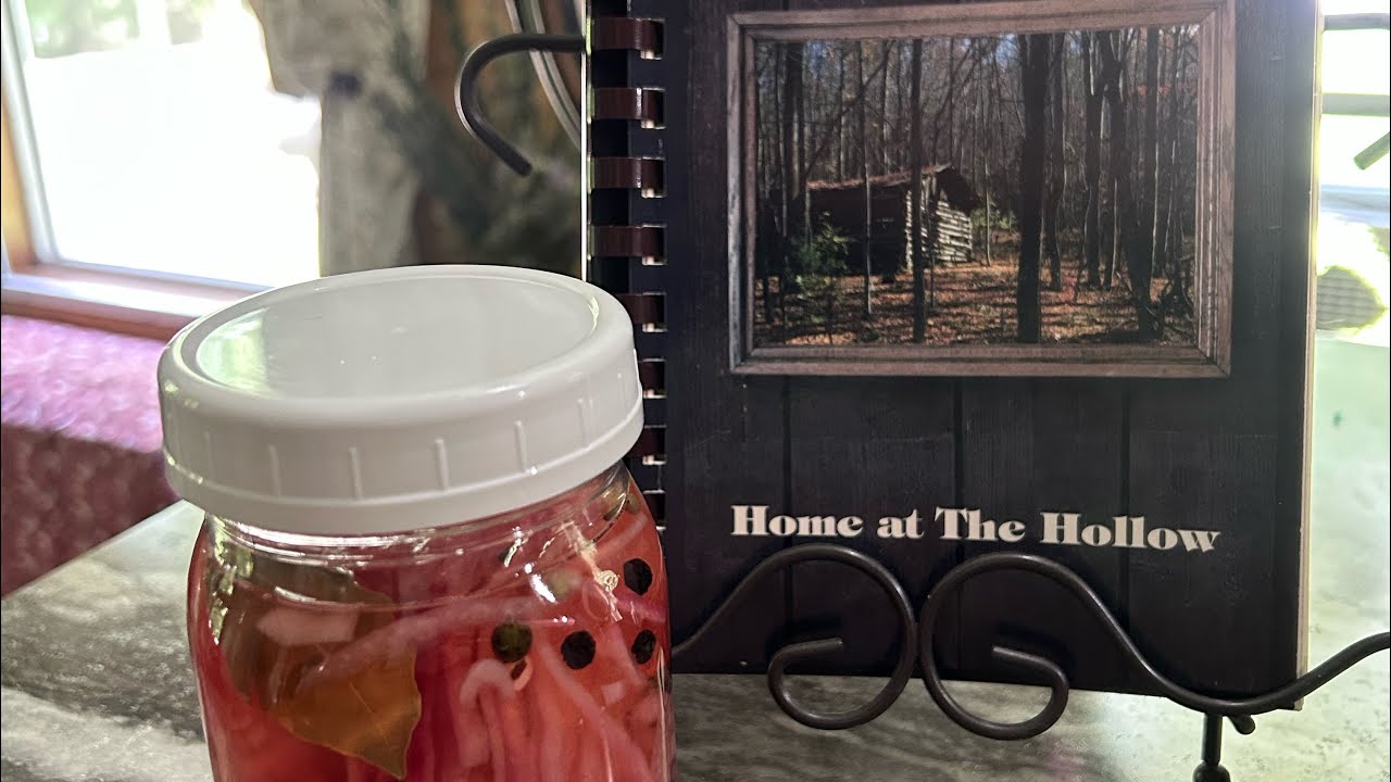 Pickled Onions 🧅 Ready in 12 Hours!