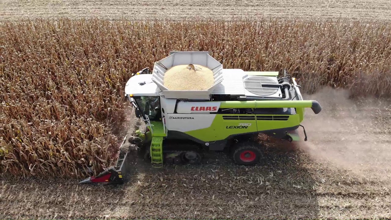 DOMINONI ROCK CLAAS LEXION 780