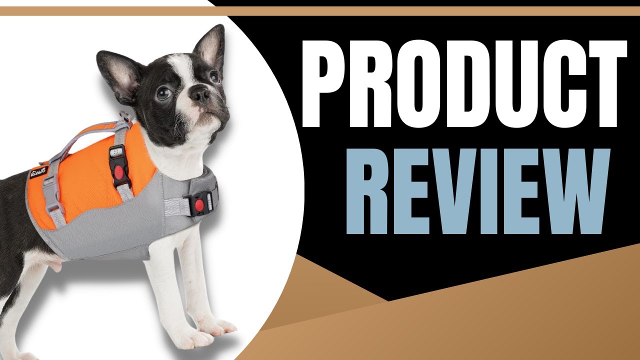 🐕 Amazon Pet Pick: Dog Life Vest Review