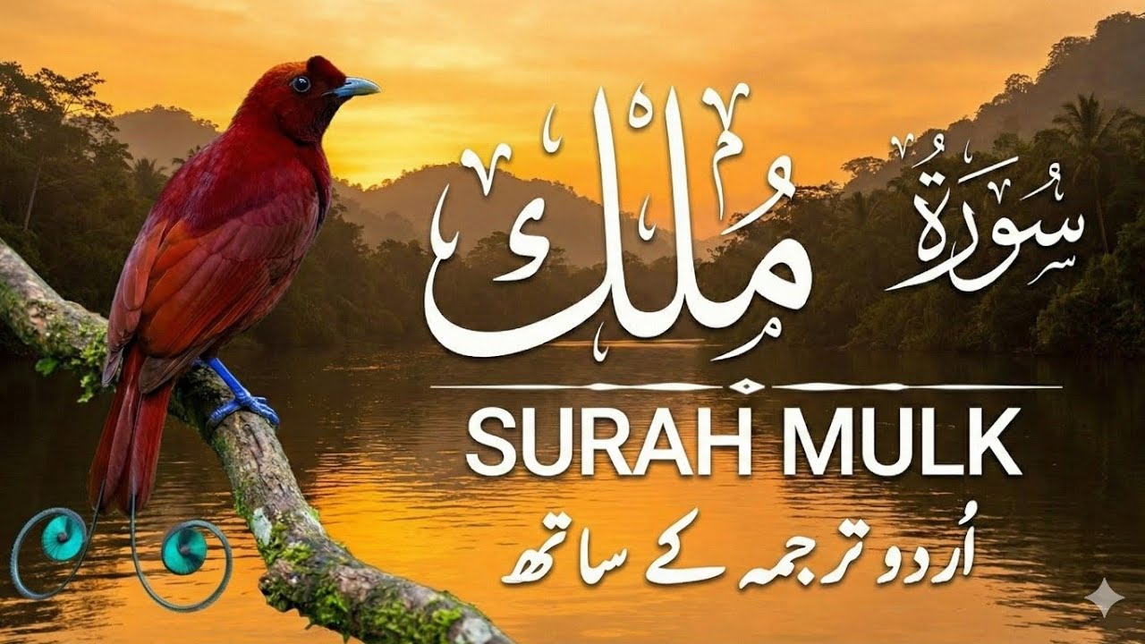 Surah Al-Mulk سورة الملك | Heart-Calming Recitation for Protection, & Night Blessings #surahmulk