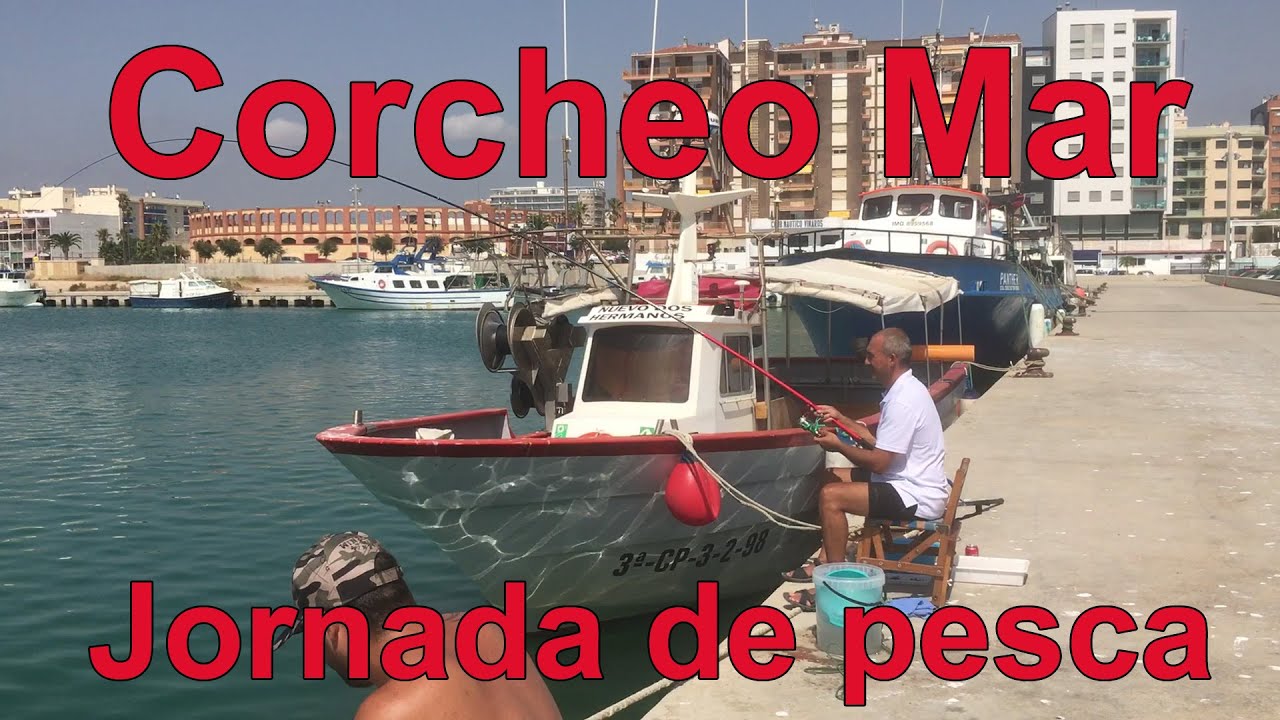 Iniciación al Corcheo Mar. Una  Jornada de Pesca en el puerto de Vinaros