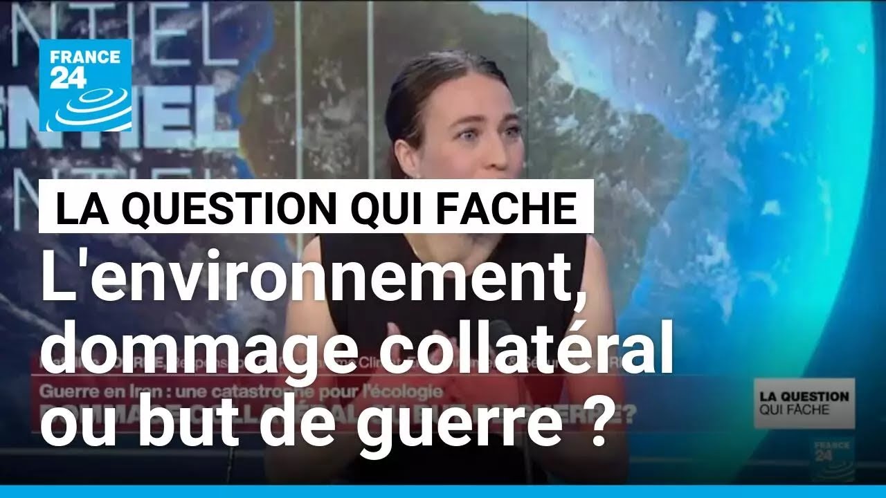 L'environnement : dommage collatéral de la guerre ou but de guerre ? • FRANCE 24