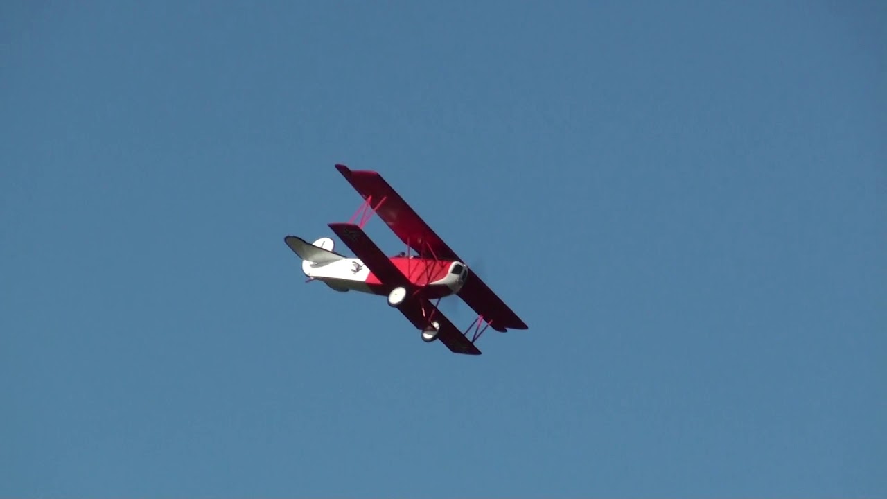 Hanger 9 Fokker D 7 1/4 Scale  Electric