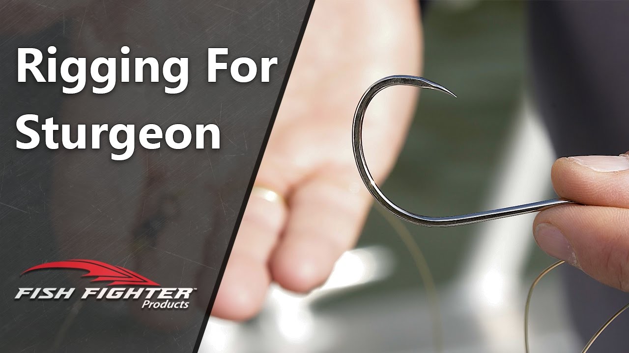 How to Rig for Sturgeon Fishing | Fish Fighter™ Products