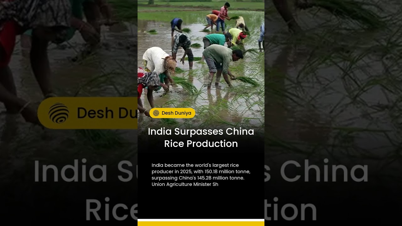 India Surpasses China Rice Production | Desh Duniya | Desh Duniya Updates