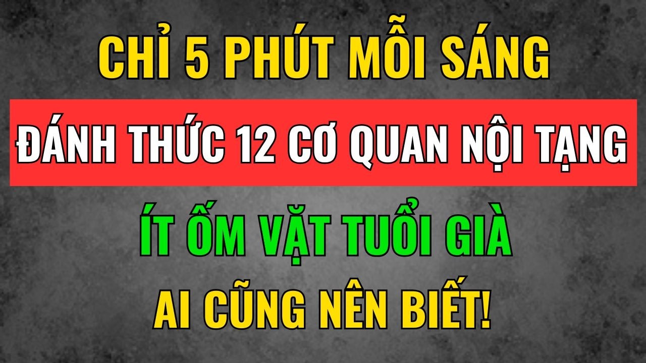 12 Cơ Quan Nội Tạng Sẽ 
