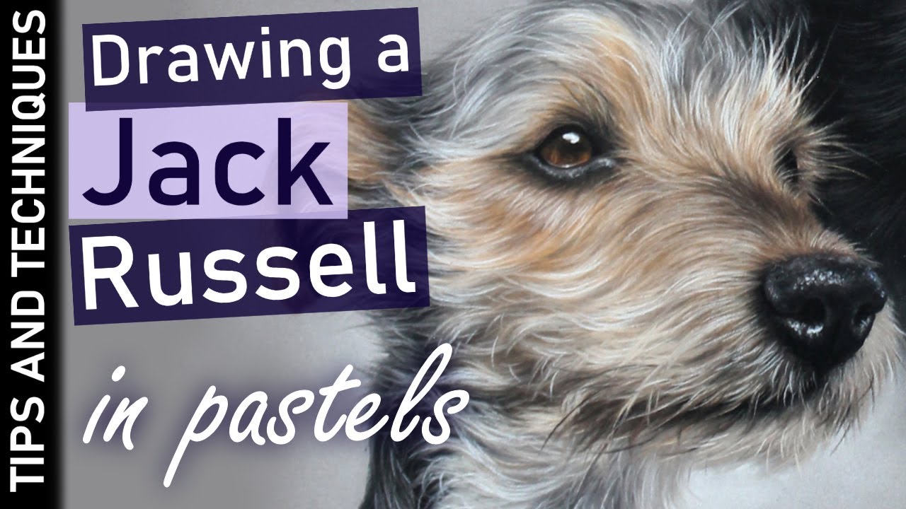 How to draw a Jack Russell in pastels | Drawing fur in pastels