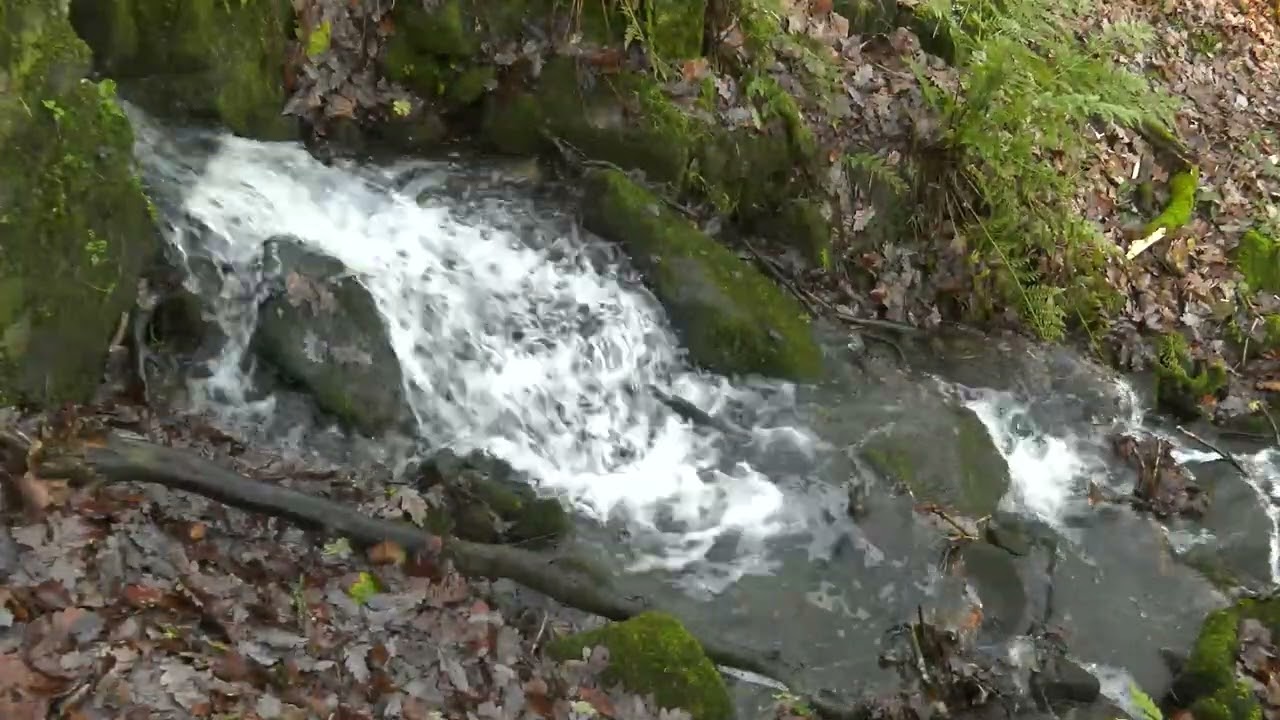 Fast Stream - 1080P AVC (H.264) High level 5.1 (5 Mbps)