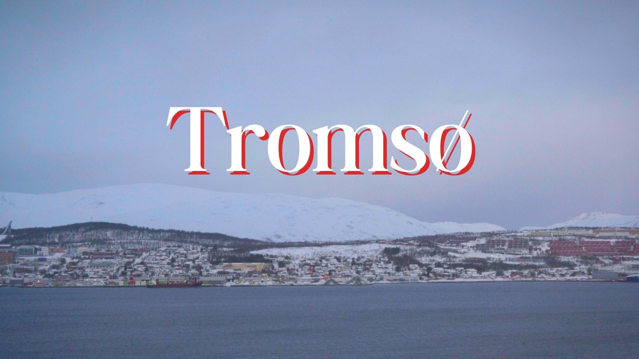January in Norway Tromsø – Polar Night, Eating Reindeers, Whales and Northern Lights