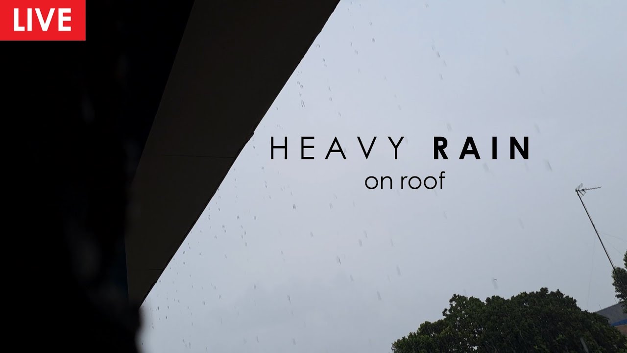 Rain Sounds for Sleeping to Sleep Fast and Beat Insomnia - Live Rain