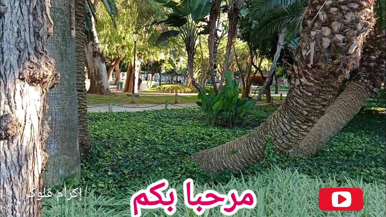جمال الدين سعيد ولد الحوات Jamal Eddine wald houat 