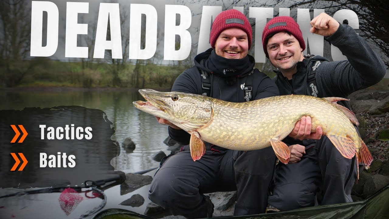 Deadbait vom Ufer - Welche Taktik bringt den Meterhecht?