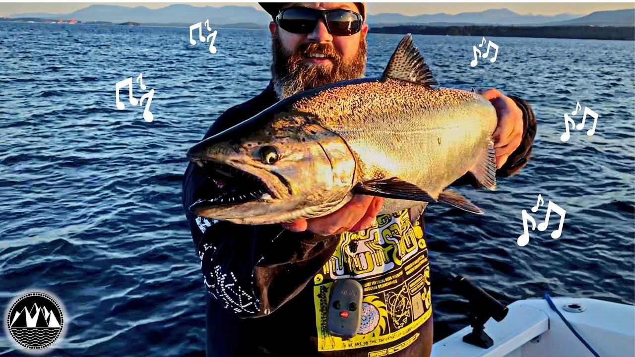 CATCHING MONSTER KING SALMON! | INSANE FISHING ON VANCOUVER ISLAND BC | WEST COAST | FISH VLOG