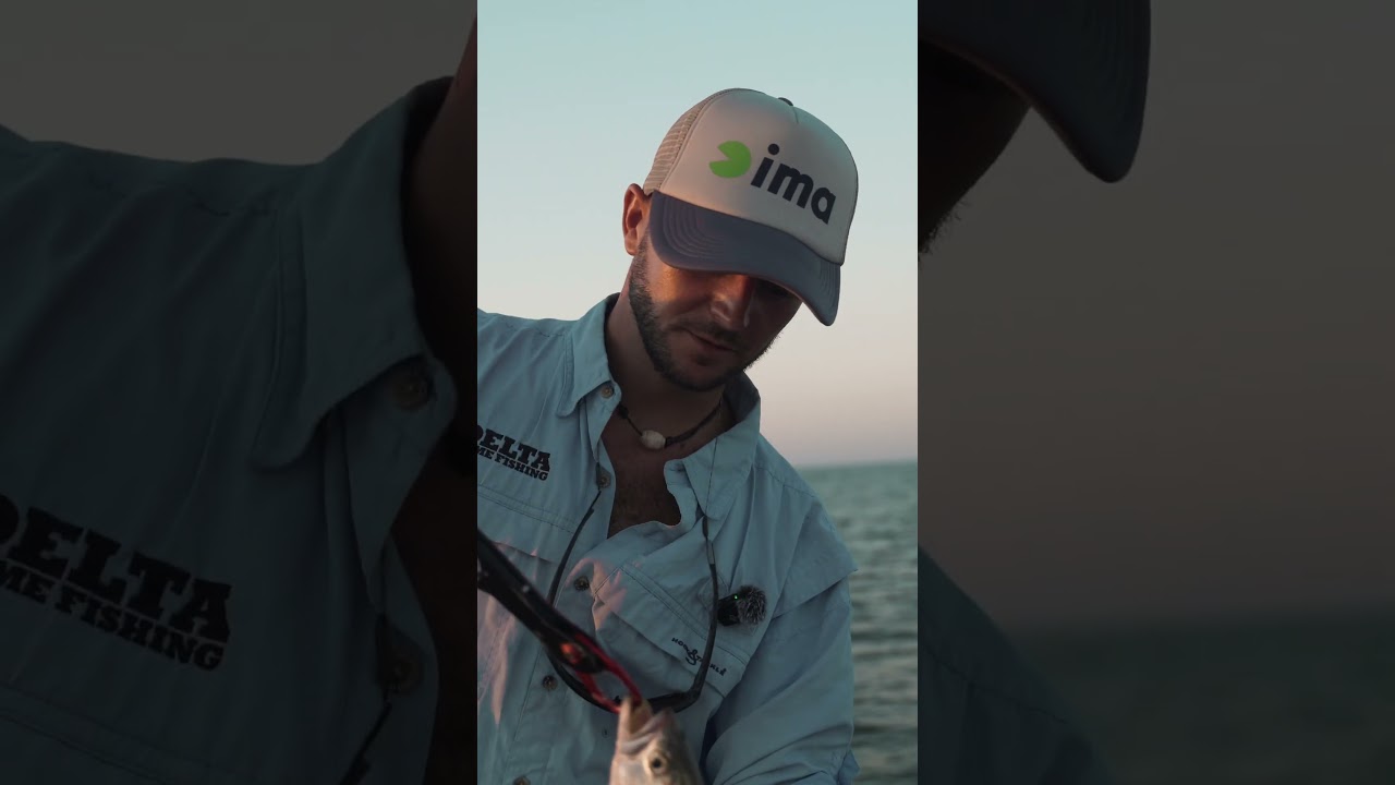 ANJOVA pescada con JERKBAIT