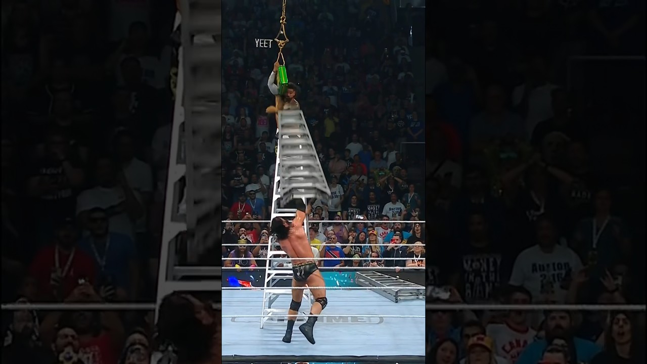 Ladder to the FACE! 😮&zwj;💨🪜