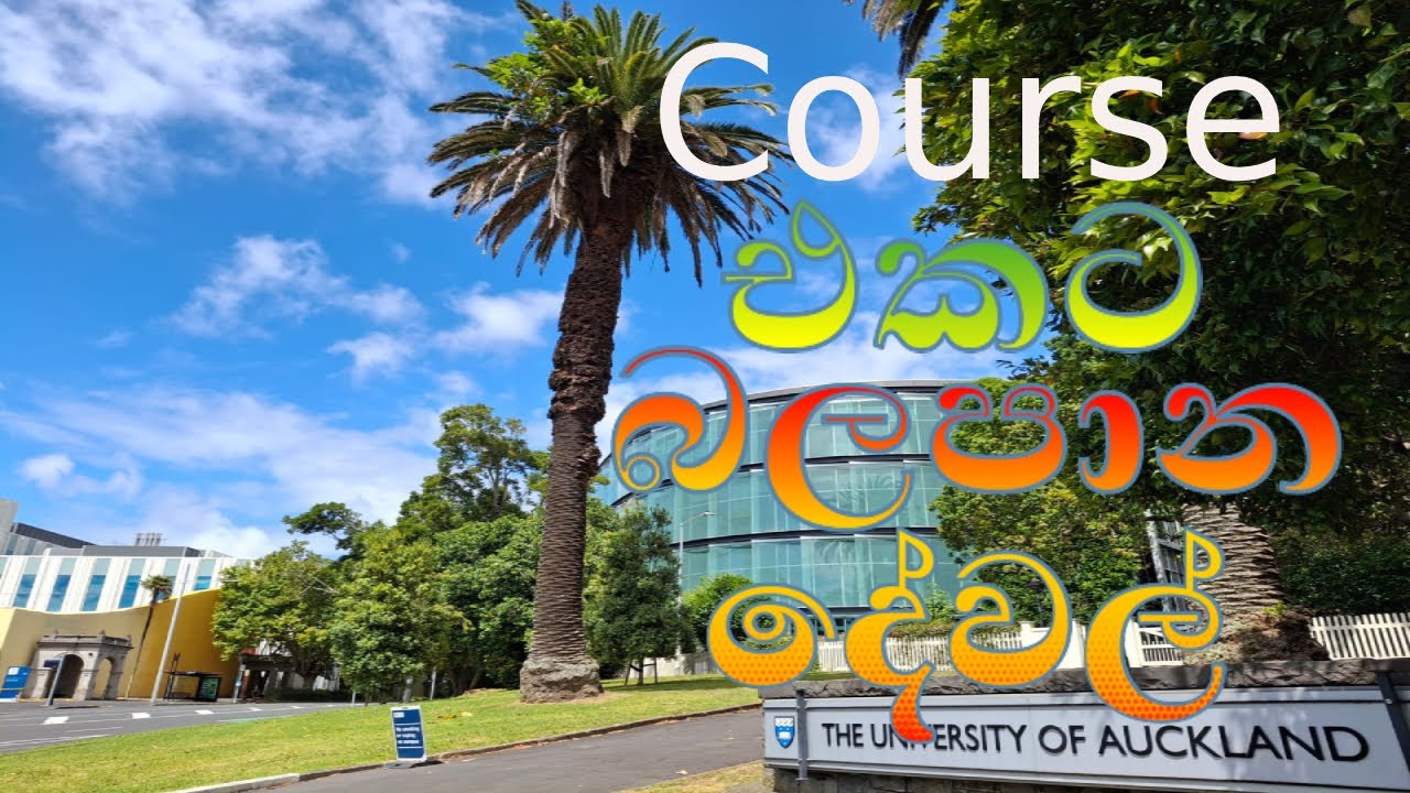 නවසීලන්තයේ study ක‍රන්න එන්න කලින්  බලන්නම ඕනා දේවල්  | NZ Student Visa | Kiwi Vibes