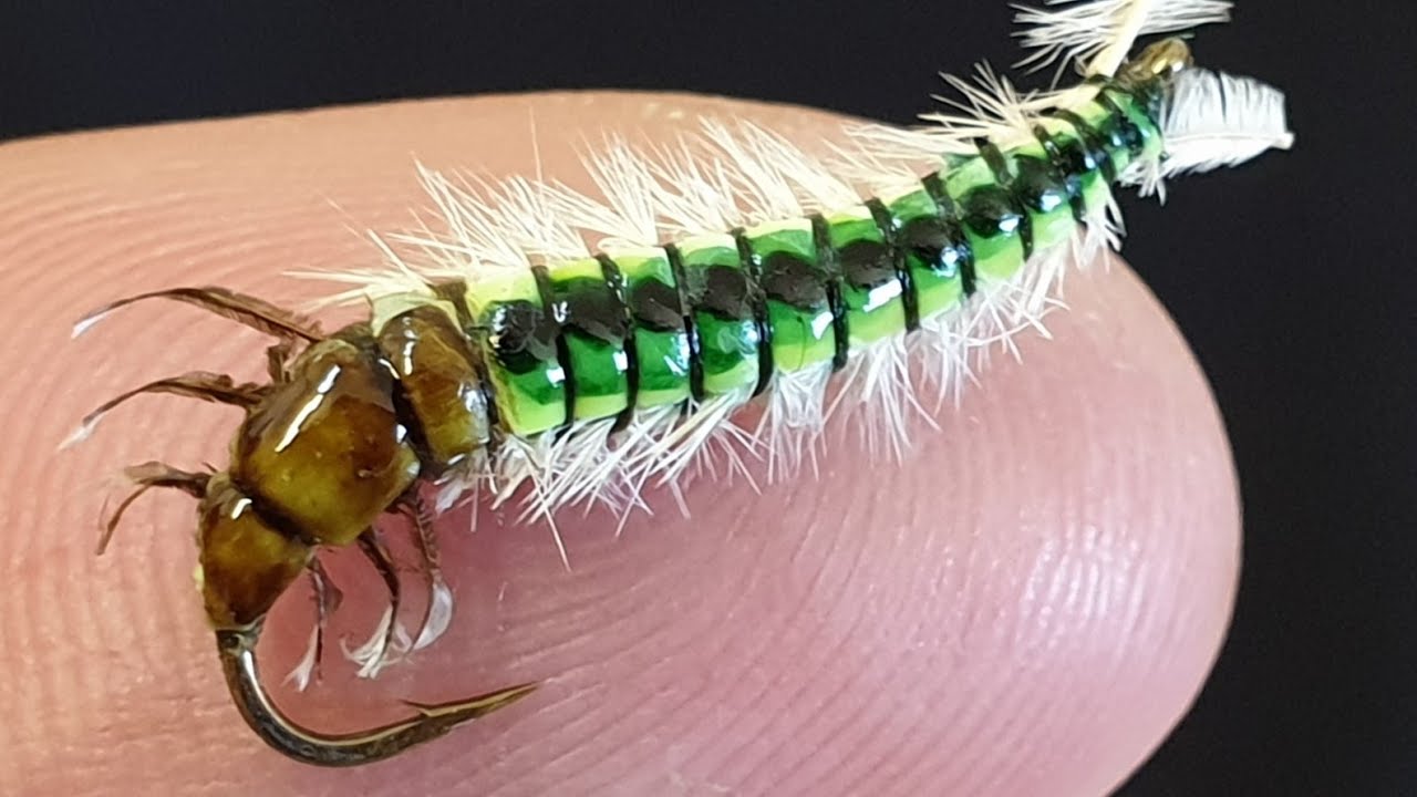Fly Tying a Caddis Larva