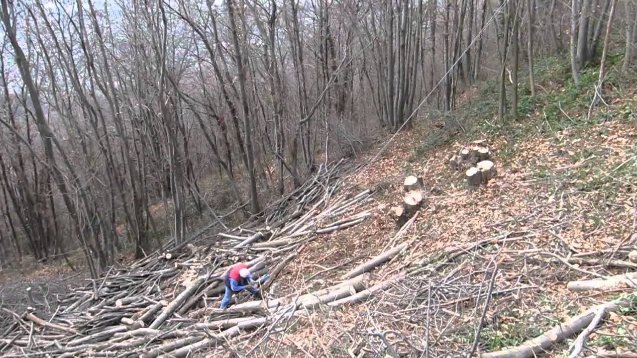 Carrello pescante - raccolta legna prima parte