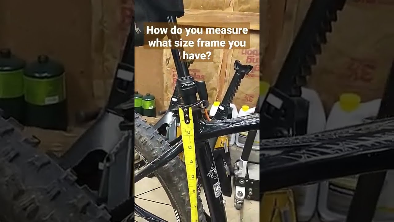 How do you measure what size frame you have? #shorts