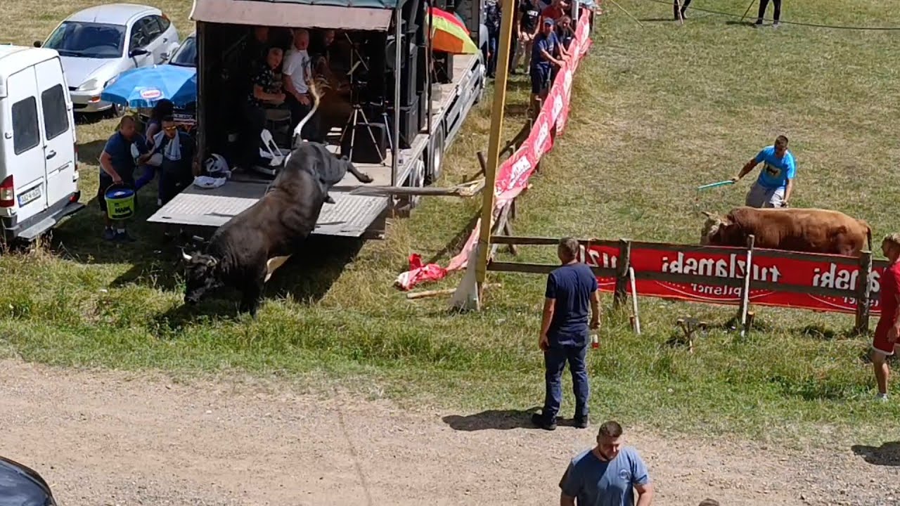 KORIDA BAKIĆI 27.07.2025 NAJBOLJI DETALJI @Samoveselo387
