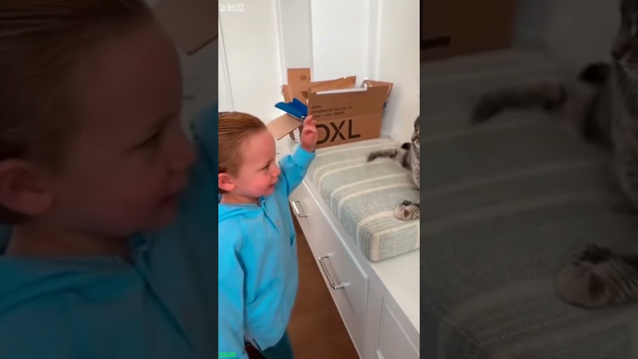 Cute Animals 🐕 Cat Fails 🥰 # #7463