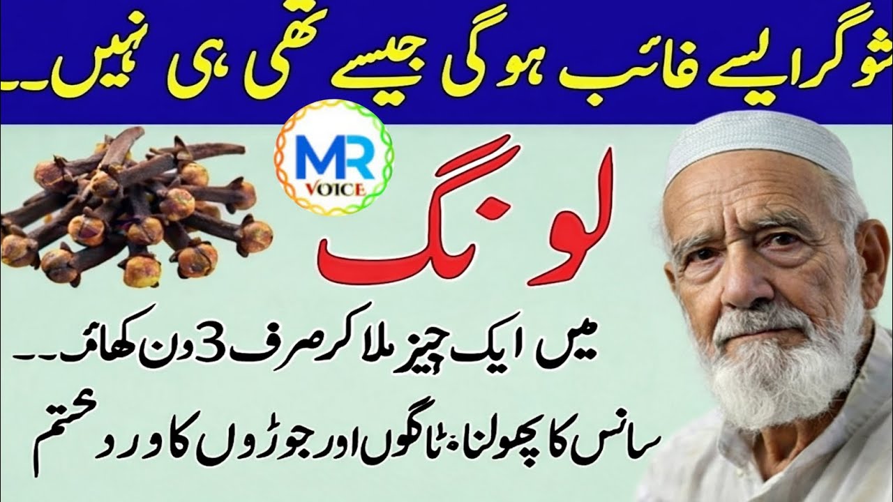 Quotes About life | Rumi Quotes in Urdu | Motivational Islamic Quotes | Golden Words | Hazrat Ali