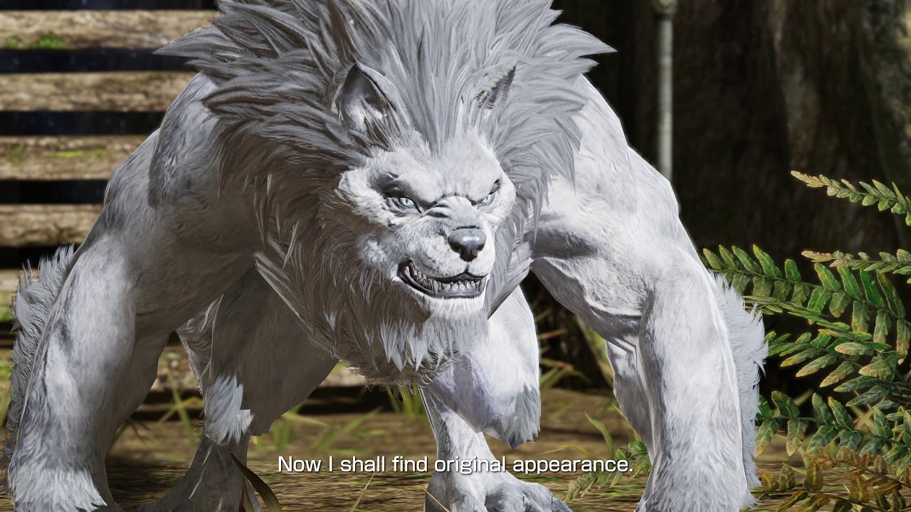 Bless online: Japan server
