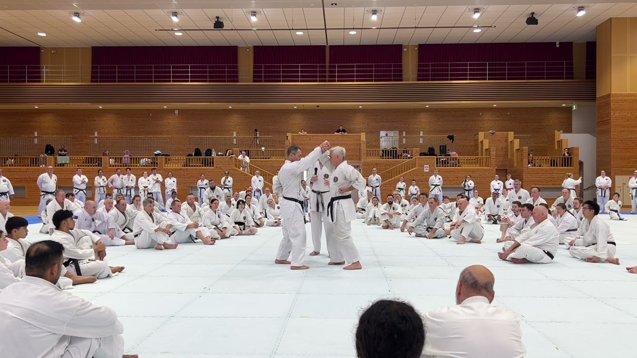 Kancho Robert Sullivan Seminar - GKR Okinawa Experience 2025 - Day 2, Session 1, Video 8