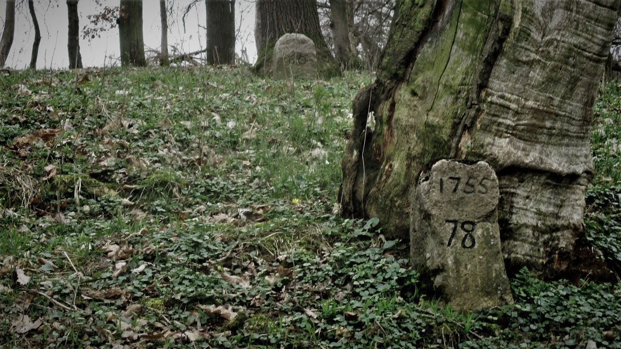 KAMIENIE GRANICZNE 1755 SAALECK