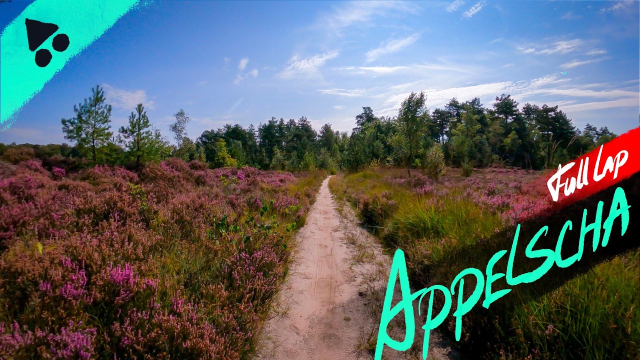 MTB Appelscha | Genieten van de prachtige natuur in de Drents-Friese Wold 🚵‍♂️🌲