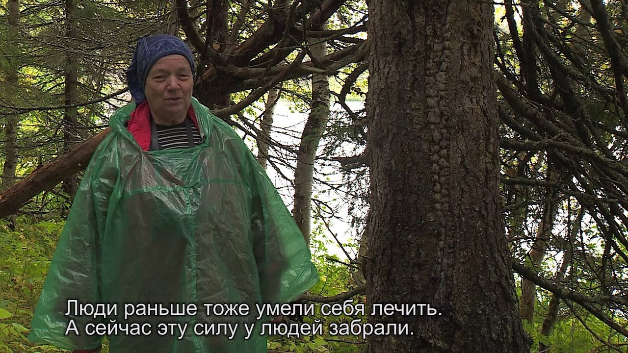 Mečäštä voimua, veještä väkie. Егоровна
