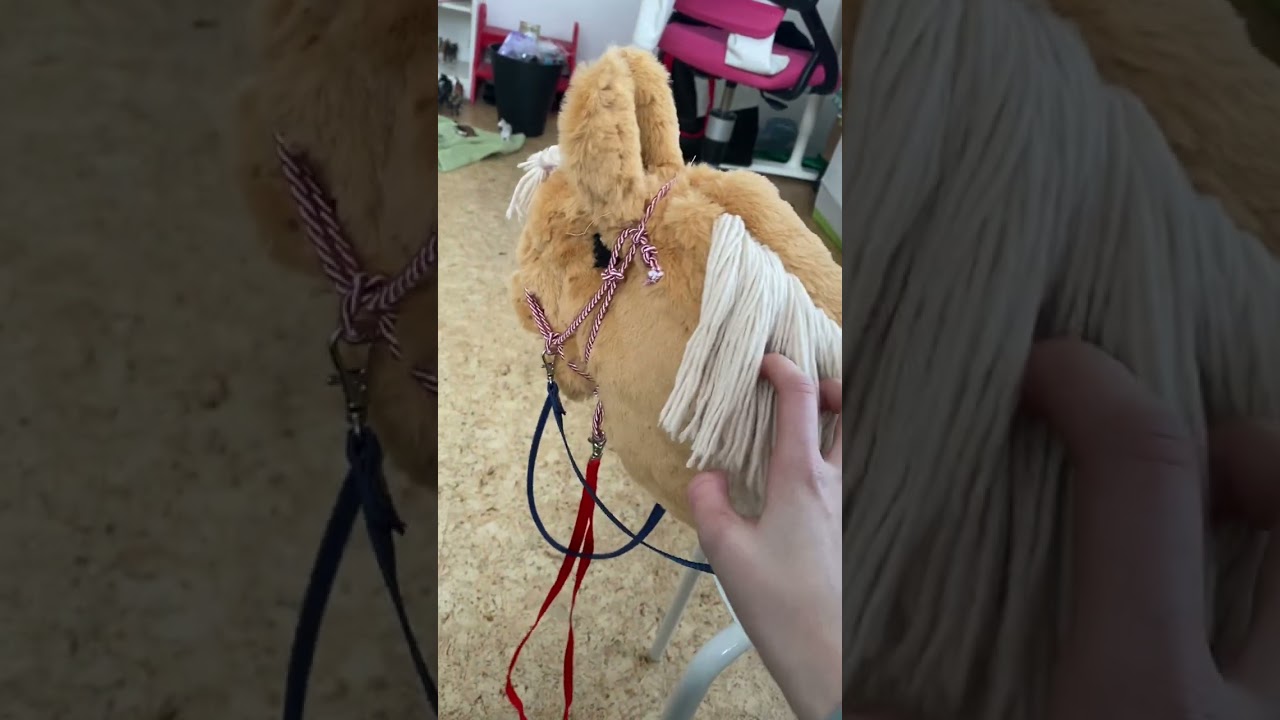 ODIML