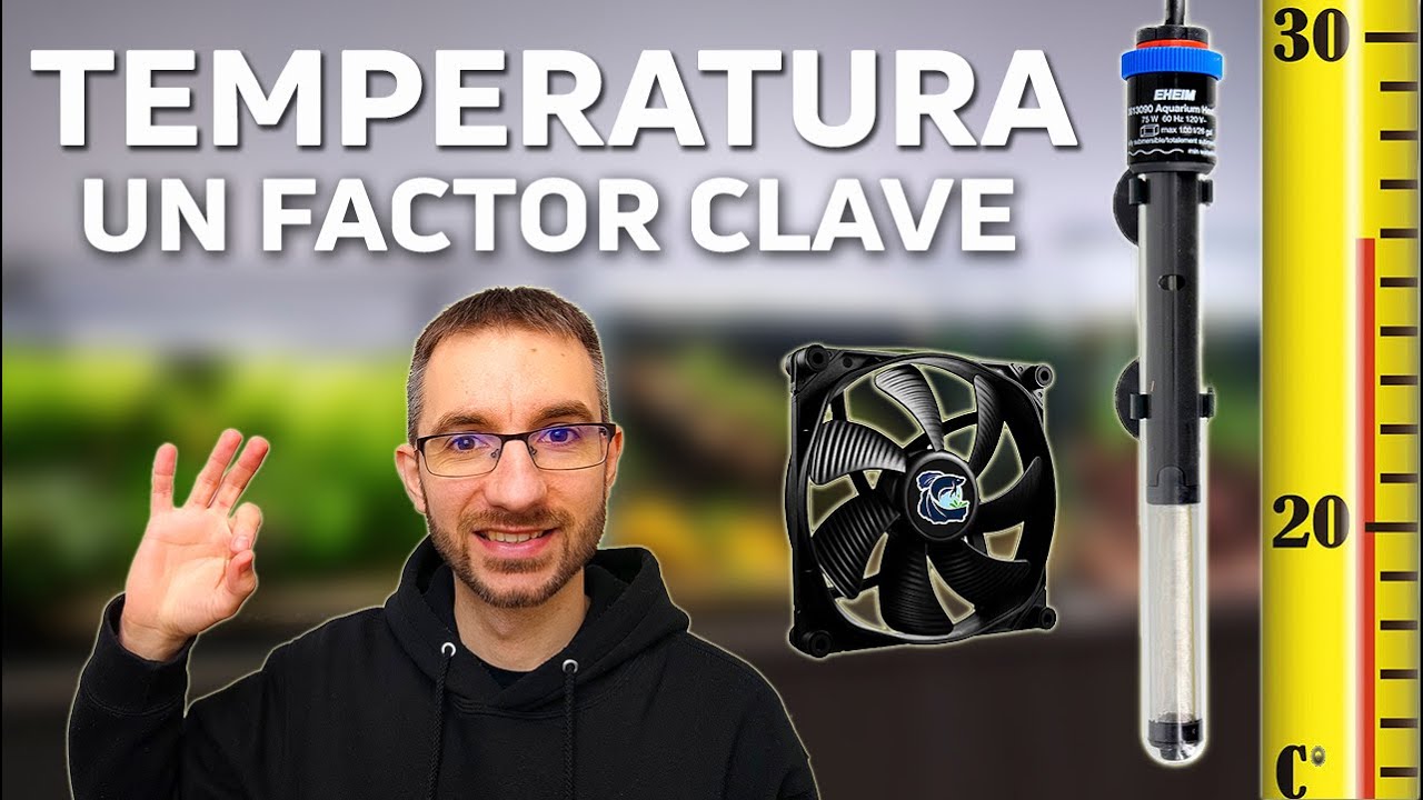 Todo lo que Debes Saber sobre el Control de la Temperatura en Acuarios