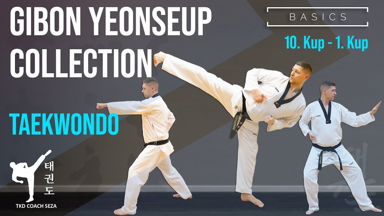 10-е - 1-е собрание KUP Gibon Yeonseup Упражнения начальной школы для всех поясов KUP (тхэквондо)1