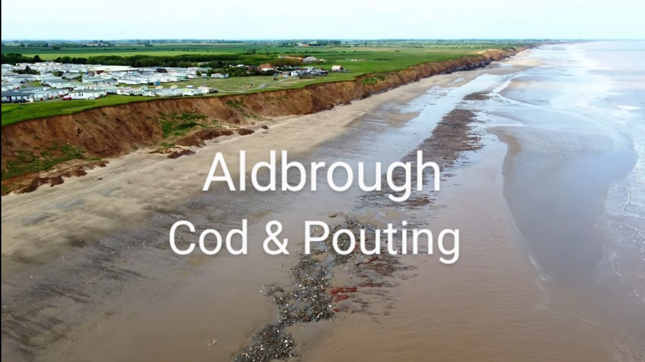 Cod and Pouting @ Aldbrough - Holderness Coast
