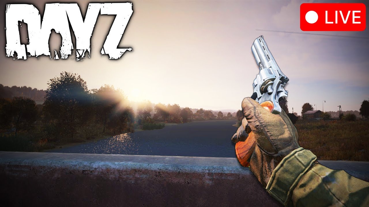 Surviving DayZ's BEST Map In The Big 2026 | DayZ | HeyBarmby's Livonia