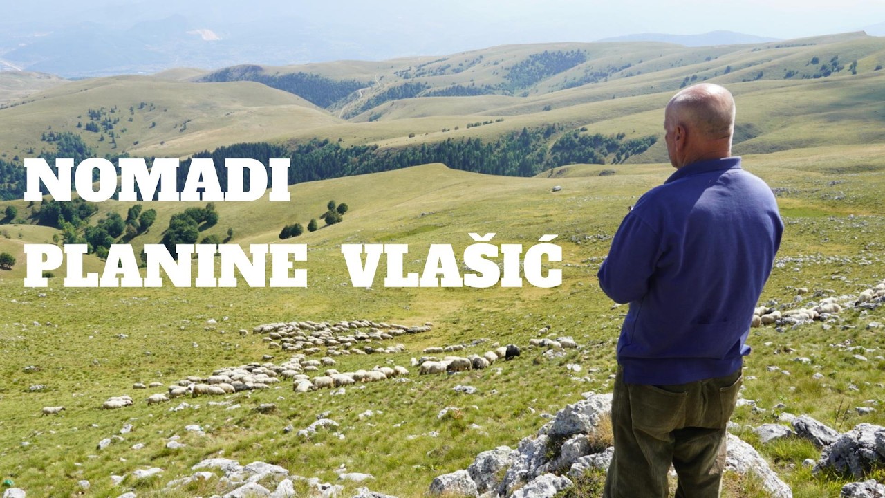 MOŽDA JE BOLJE BITI SRETAN  NEGO PAMETAN (NOMADI  PLANINE VLAŠIĆ )