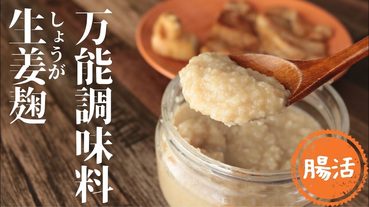 生姜麹【万能麹調味料】【漬物が美味しい】【スープも最高】