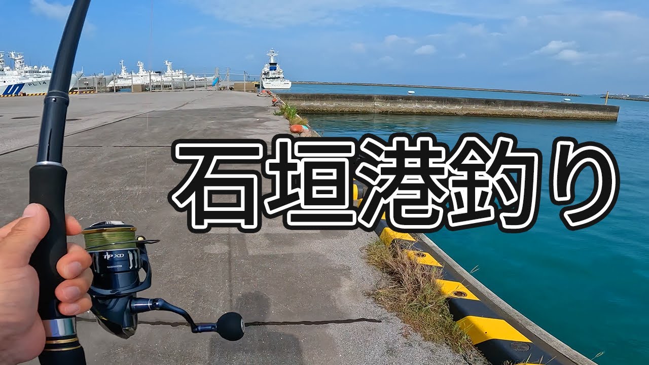 石垣港で釣りしたら巨大魚がいた【釣り | 石垣島】2022.06.11