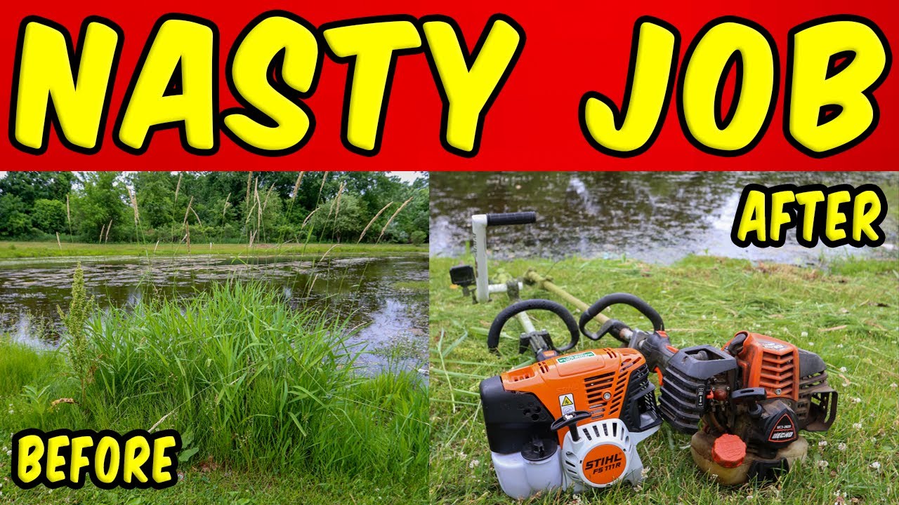 The NASTIEST Job EVER!! [Clearing Out A Pond] (Oddly Satisfying)