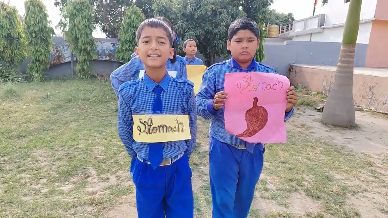May Month Science Activity || Digestive system Activity || Best Science Activity for children ||