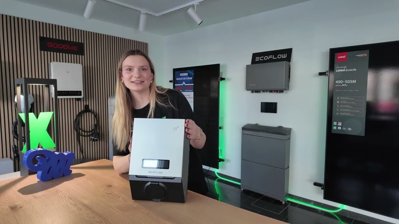 EcoFlow Power Pulse 2 im Kurzcheck &ndash; Technik, Installation, Fazit